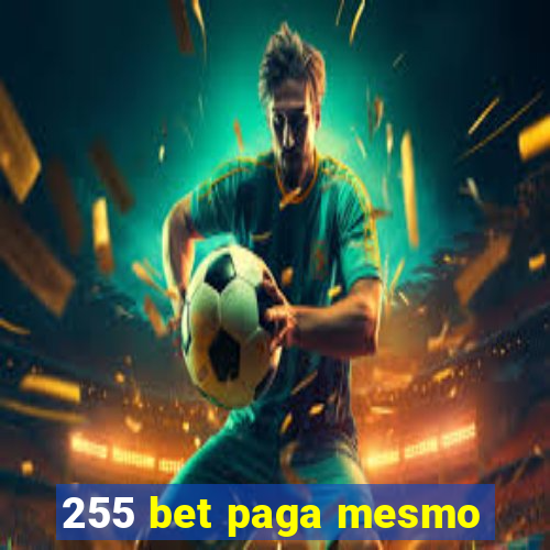 255 bet paga mesmo